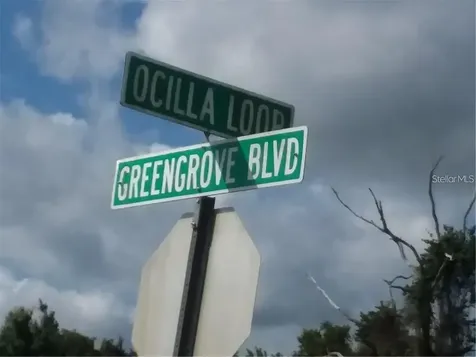 Greengrove Boulevard Clermont FL 34714