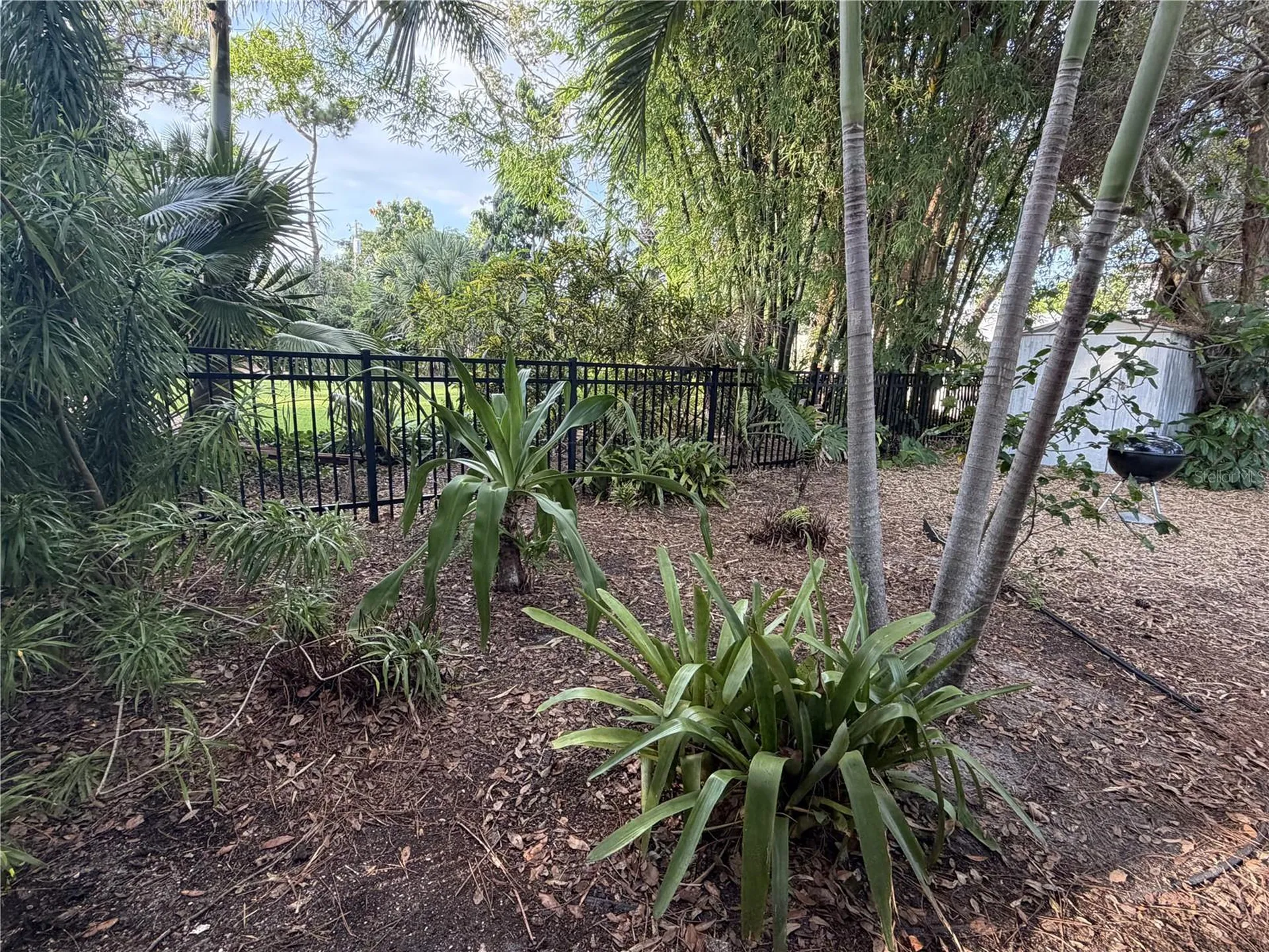 421 Riviera Street Venice FL 34285