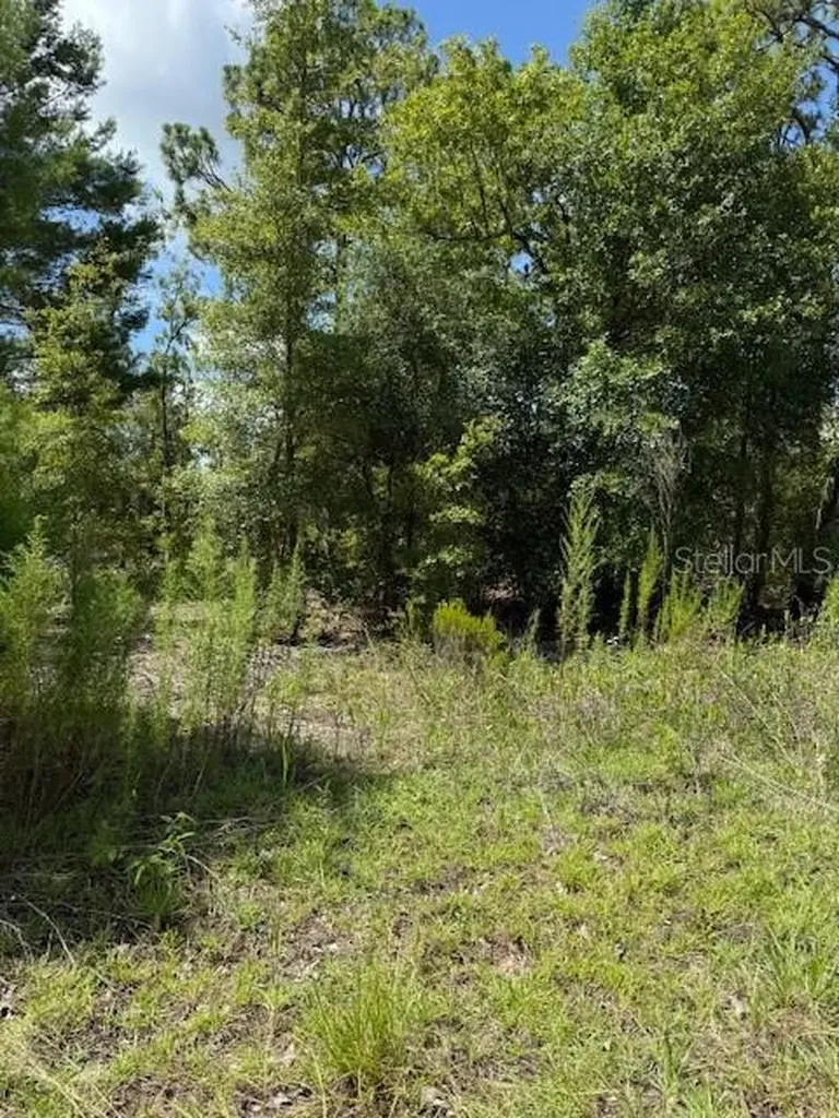 111 S Dakota Street Hawthorne FL 32640