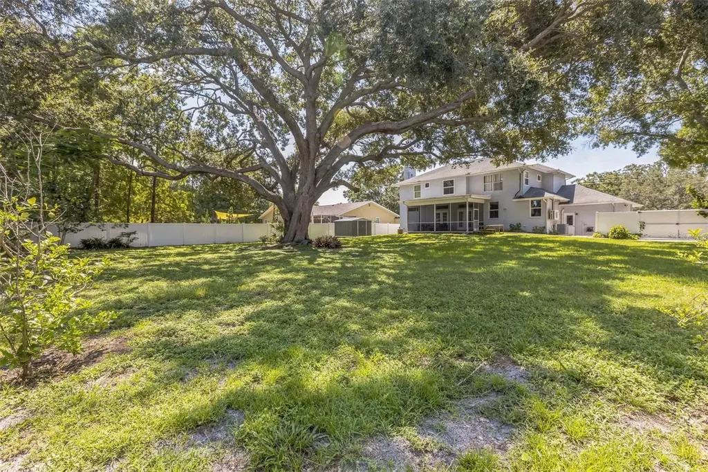 436 Lafayette Boulevard Oldsmar FL 34677