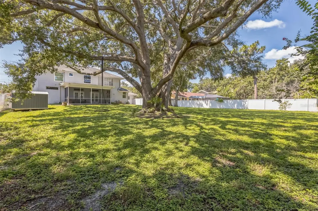 436 Lafayette Boulevard Oldsmar FL 34677