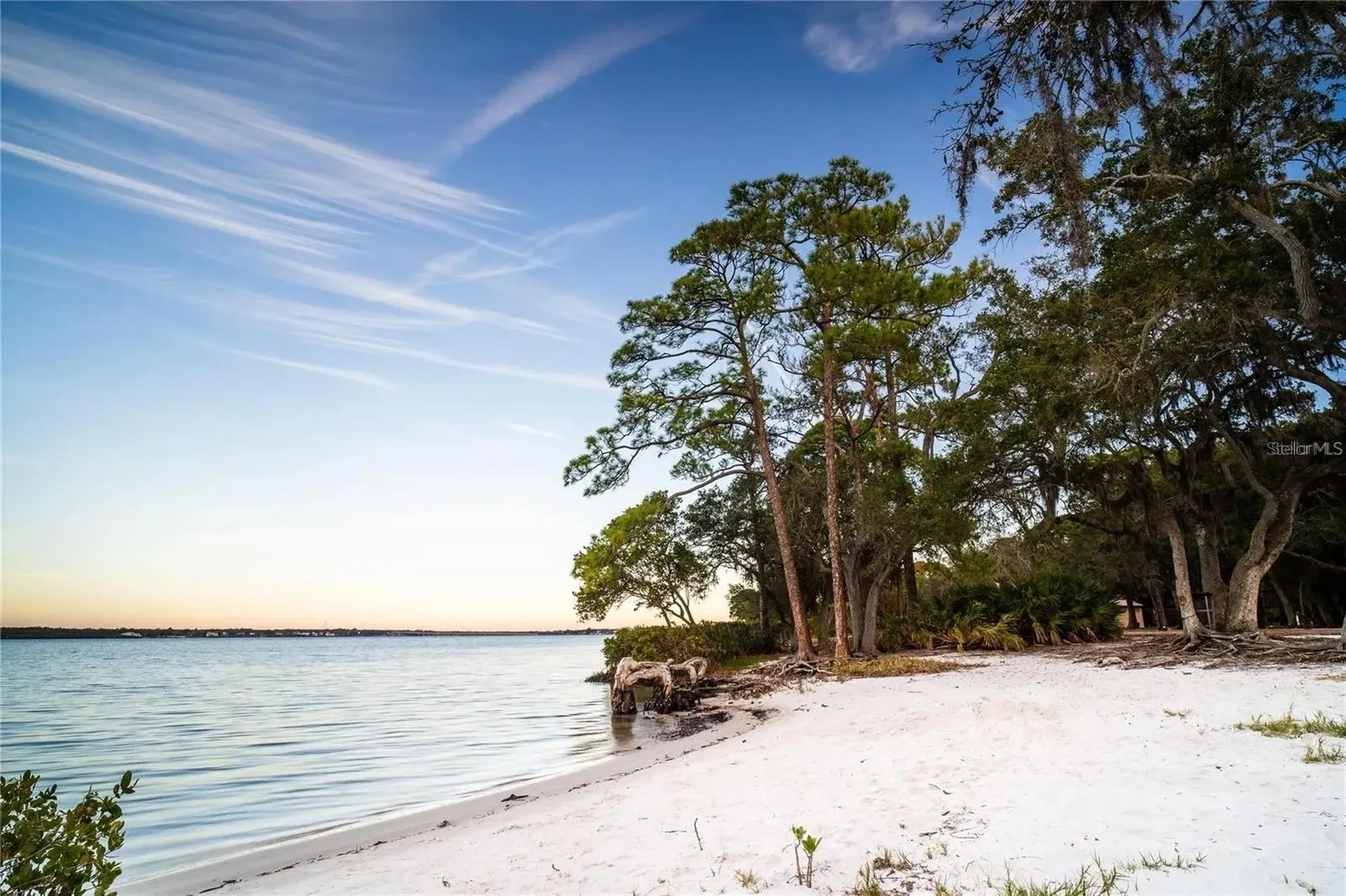 436 Lafayette Boulevard Oldsmar FL 34677