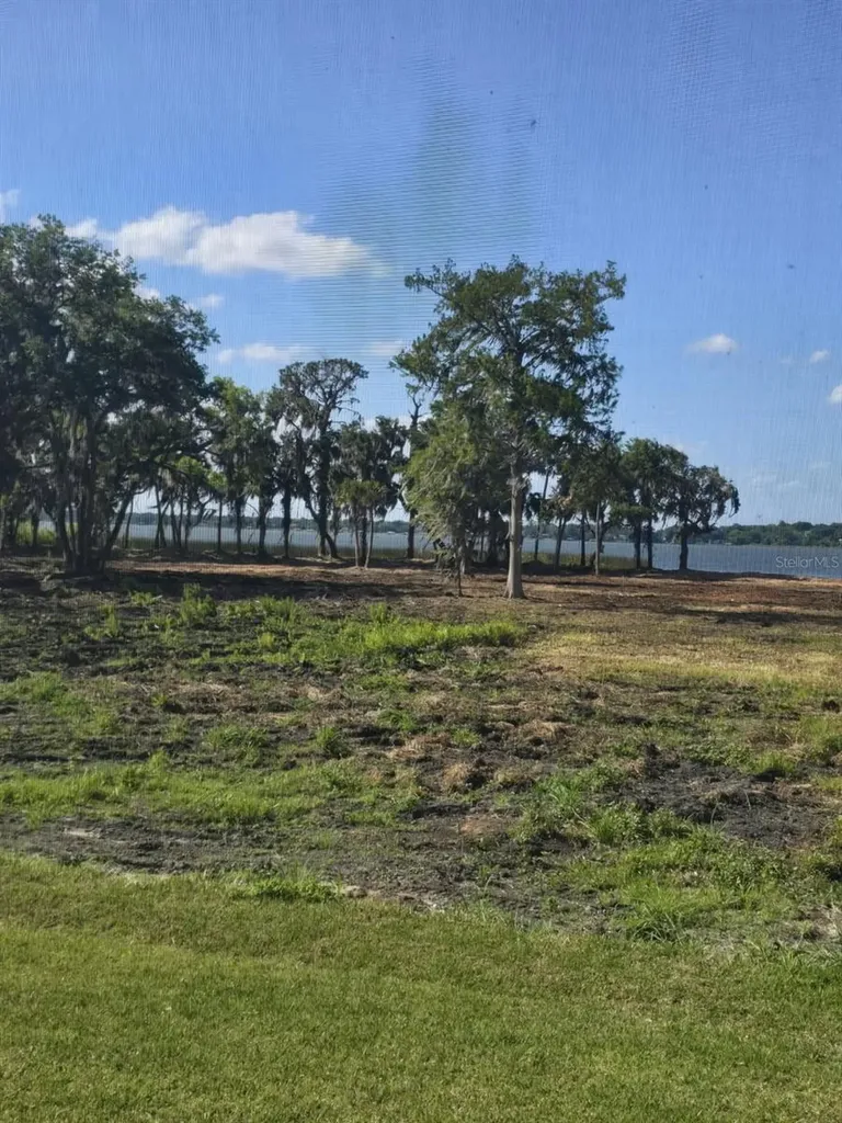 Blue Heron Circle Tavares FL 32778