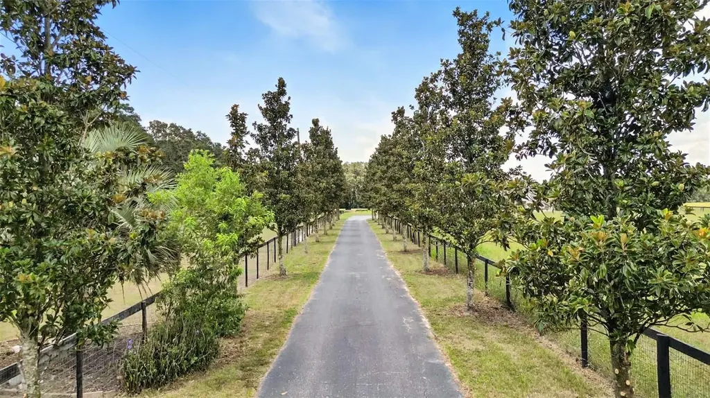 1960 SE 150th Street Summerfield FL 34491