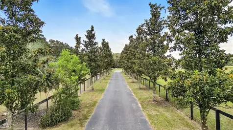 1960 SE 150th Street Summerfield FL 34491