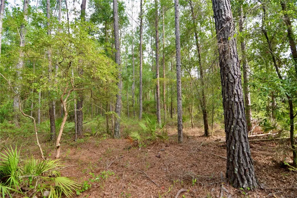 2669 NW Suwannee Valley Road Lake City FL 32055