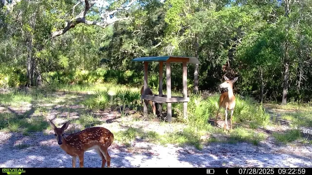 2669 NW Suwannee Valley Road Lake City FL 32055