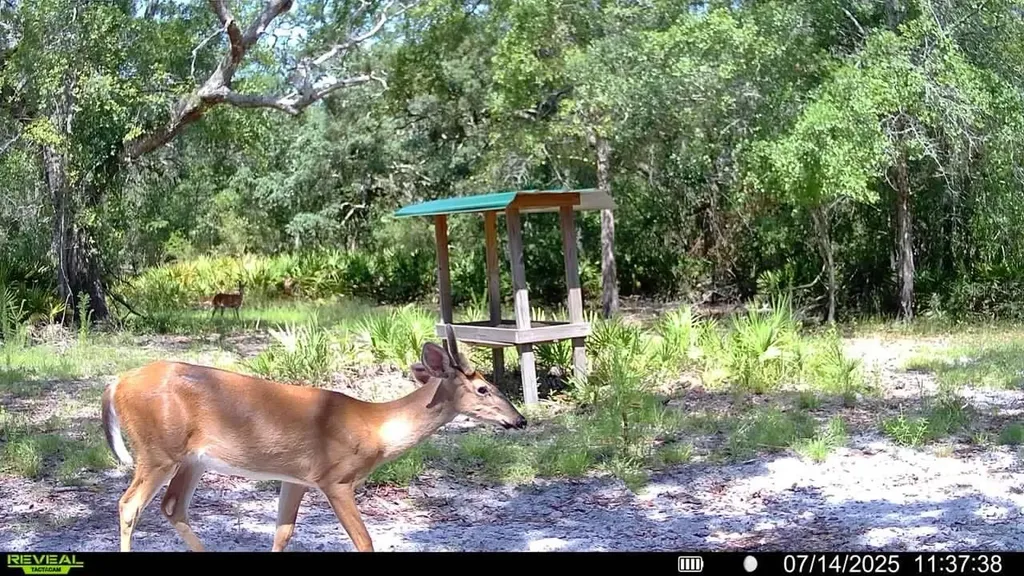 2669 NW Suwannee Valley Road Lake City FL 32055