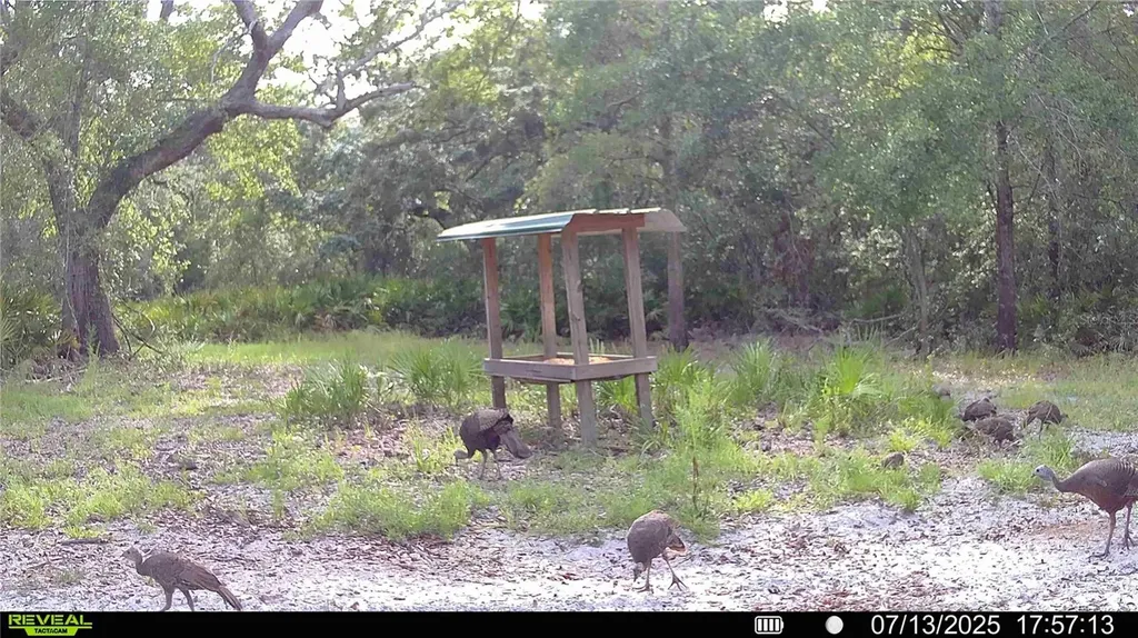 2669 NW Suwannee Valley Road Lake City FL 32055
