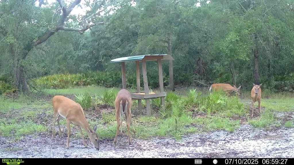 2669 NW Suwannee Valley Road Lake City FL 32055