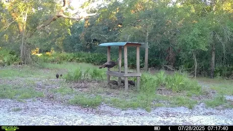 2669 NW Suwannee Valley Road Lake City FL 32055