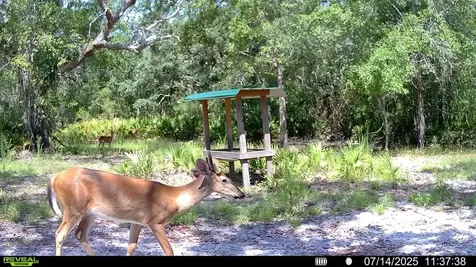 2669 NW Suwannee Valley Road Lake City FL 32055
