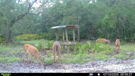 2669 NW Suwannee Valley Road Lake City FL 32055