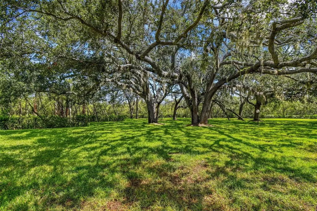 4829 Onyx Lane New Port Richey FL 34652