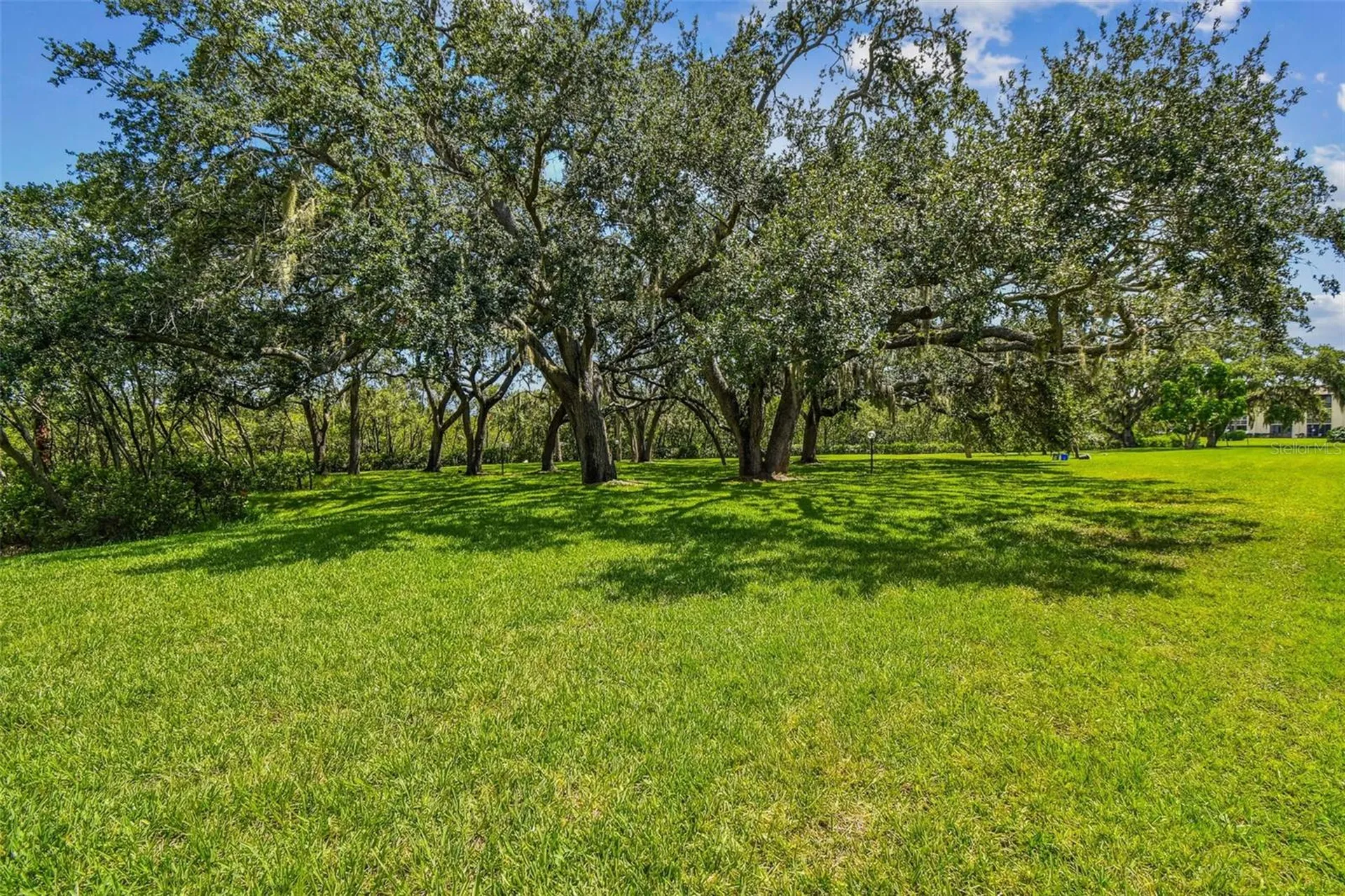 4829 Onyx Lane New Port Richey FL 34652