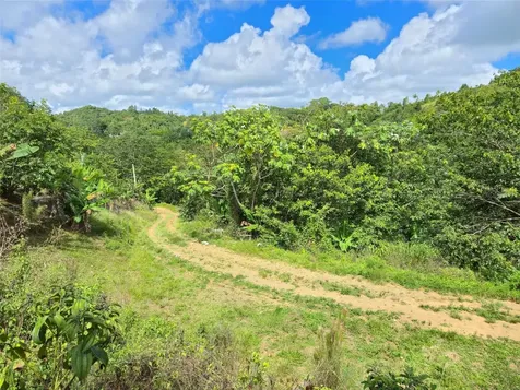 Pr- 155 Km. 20 Hm 8 Int Bauta Arriba Ward Orocovis PR 00720