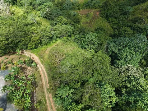 Pr- 155 Km. 20 Hm 8 Int Bauta Arriba Ward Orocovis PR 00720