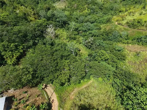 Pr- 155 Km. 20 Hm 8 Int Bauta Arriba Ward Orocovis PR 00720