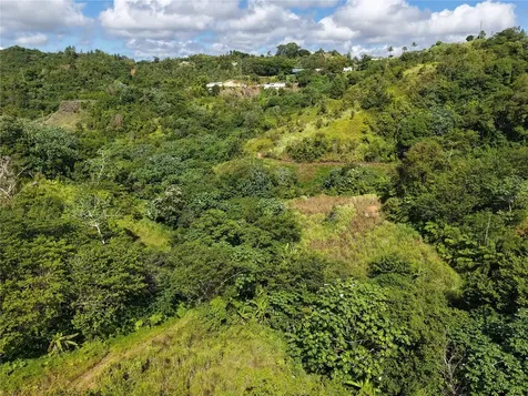 Pr- 155 Km. 20 Hm 8 Int Bauta Arriba Ward Orocovis PR 00720