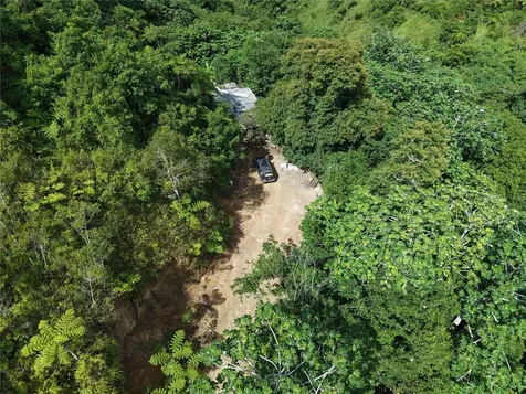 Pr- 155 Km. 20 Hm 8 Int Bauta Arriba Ward Orocovis PR 00720