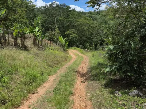 Pr- 155 Km. 20 Hm 8 Int Bauta Arriba Ward Orocovis PR 00720