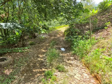 Pr- 155 Km. 20 Hm 8 Int Bauta Arriba Ward Orocovis PR 00720