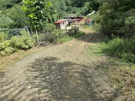 Pr- 155 Km. 20 Hm 8 Int Bauta Arriba Ward Orocovis PR 00720