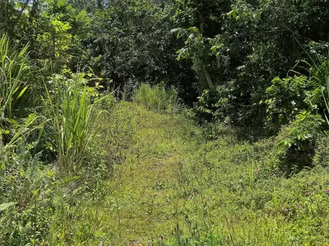 Pr- 155 Km. 20 Hm 8 Int Bauta Arriba Ward Orocovis PR 00720