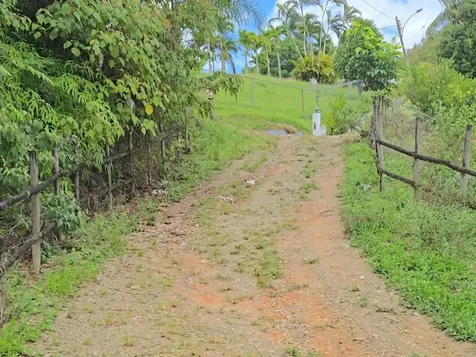 Pr- 155 Km. 20 Hm 8 Int Bauta Arriba Ward Orocovis PR 00720