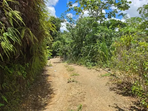 Pr- 155 Km. 20 Hm 8 Int Bauta Arriba Ward Orocovis PR 00720