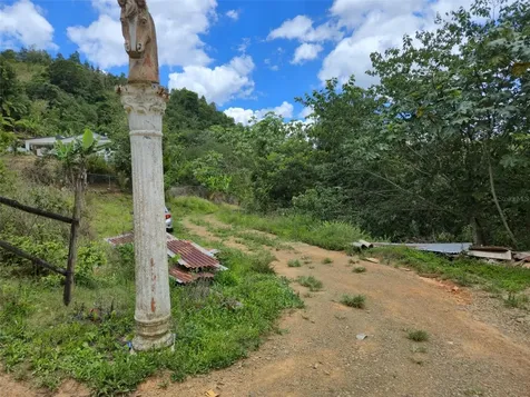 Pr- 155 Km. 20 Hm 8 Int Bauta Arriba Ward Orocovis PR 00720