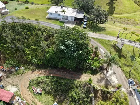 Pr- 155 Km. 20 Hm 8 Int Bauta Arriba Ward Orocovis PR 00720