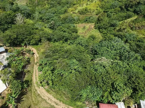 Pr- 155 Km. 20 Hm 8 Int Bauta Arriba Ward Orocovis PR 00720