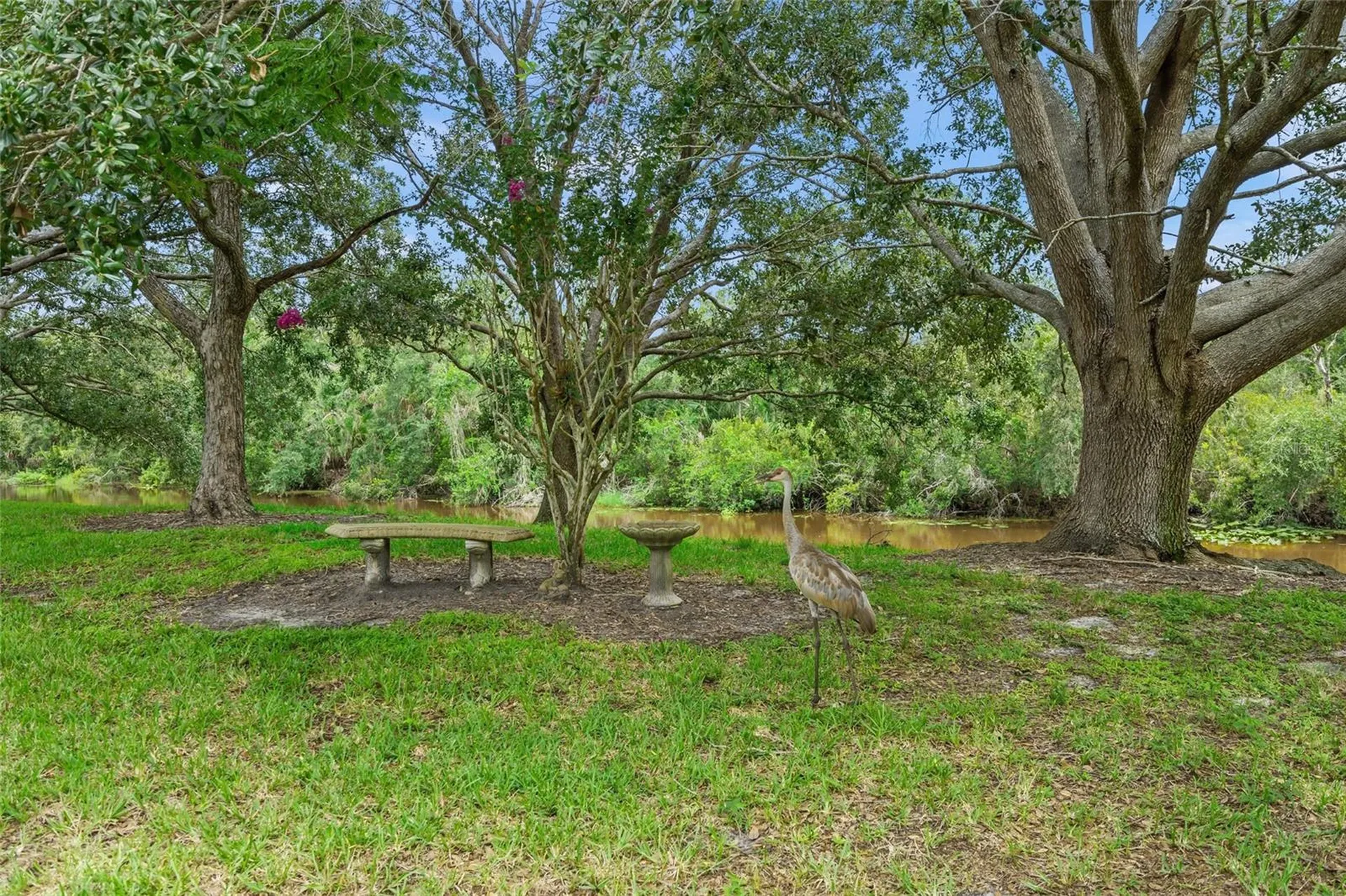 4239 Carriage Drive Sarasota FL 34241