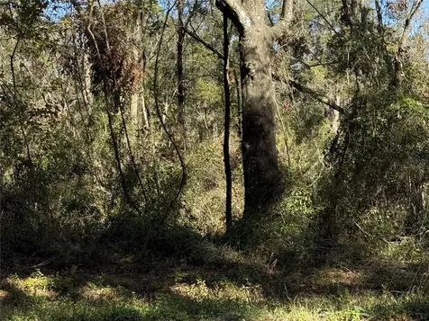 Tbd SE Cr 349 Lake City FL 32025