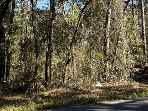 Tbd SE Cr 349 Lake City FL 32025