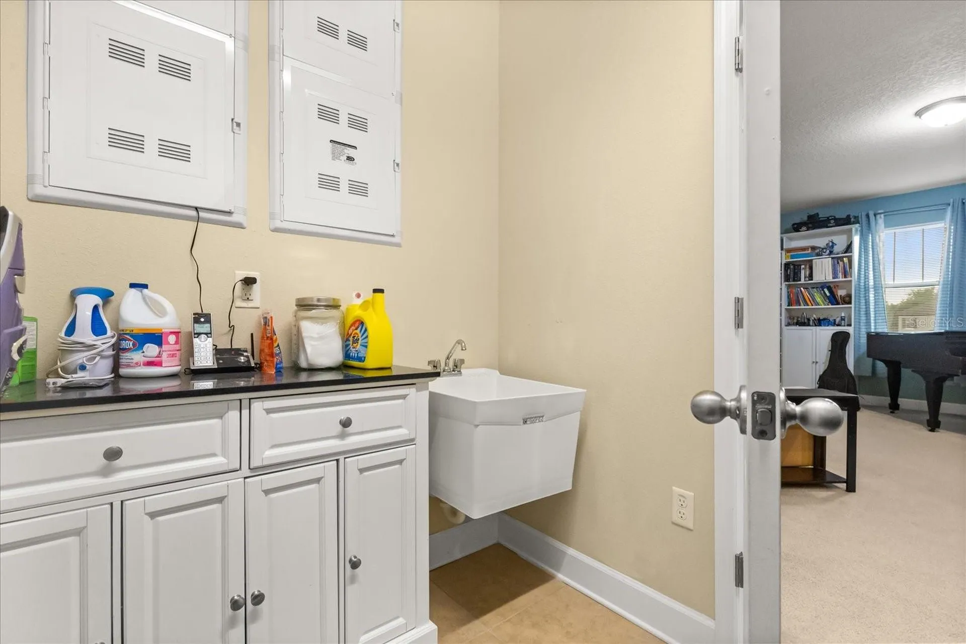 11807 Cross Vine Drive Riverview FL 33579