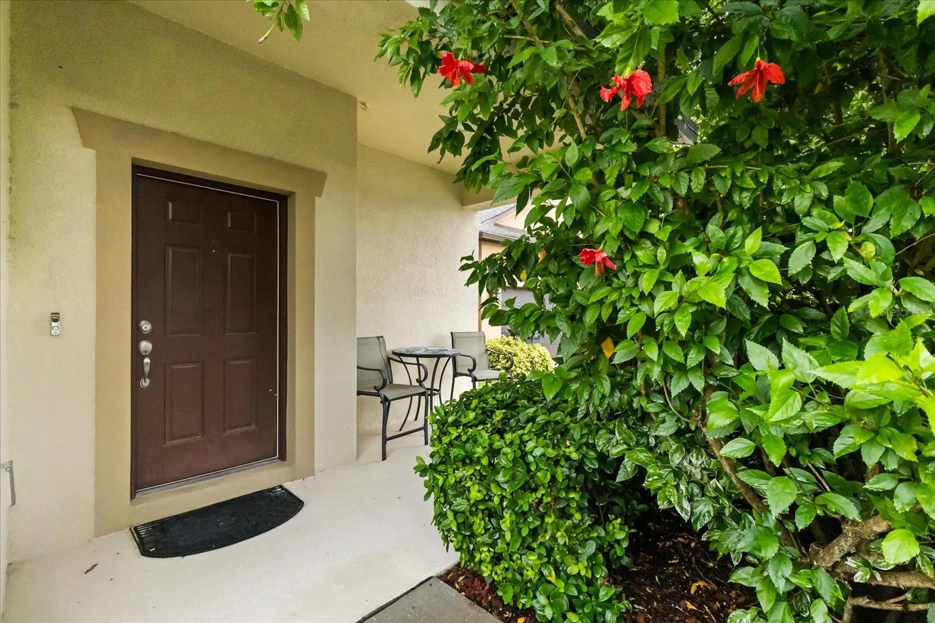 11807 Cross Vine Drive Riverview FL 33579