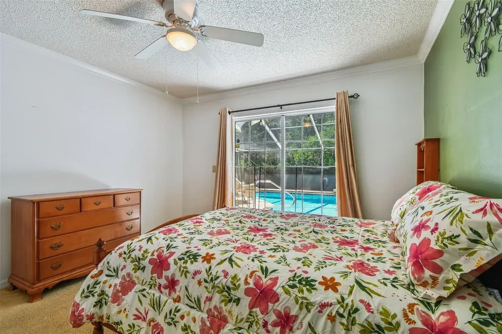 6006 Redhawk Drive New Port Richey FL 34655