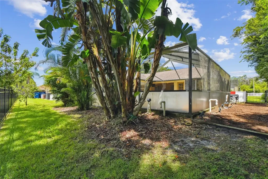 6006 Redhawk Drive New Port Richey FL 34655