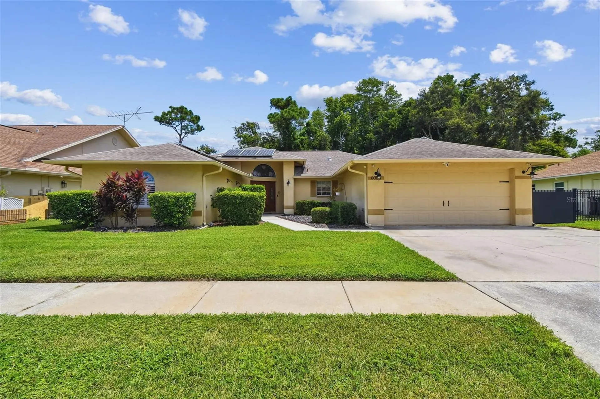6006 Redhawk Drive New Port Richey FL 34655