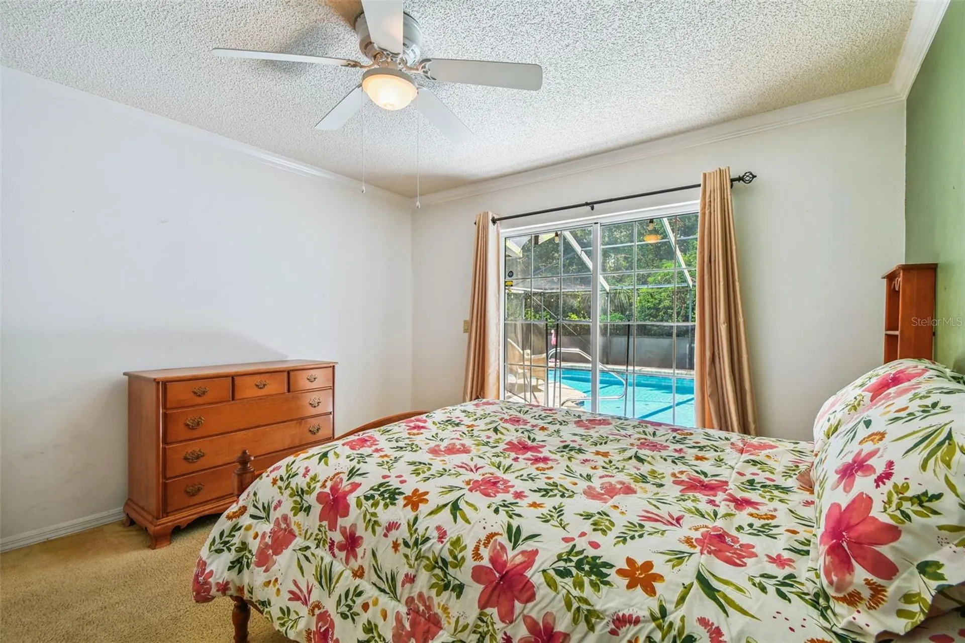 6006 Redhawk Drive New Port Richey FL 34655
