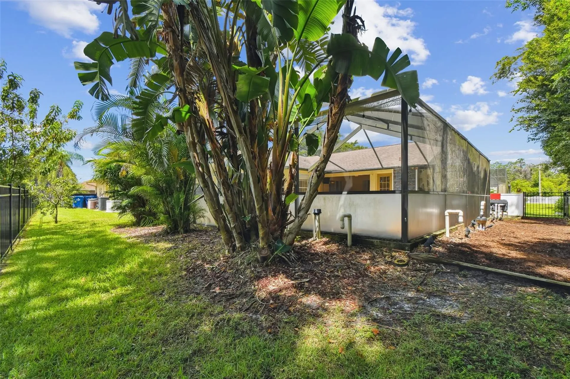6006 Redhawk Drive New Port Richey FL 34655