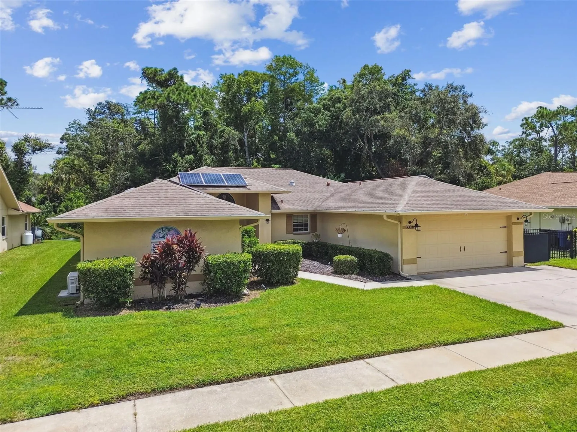 6006 Redhawk Drive New Port Richey FL 34655