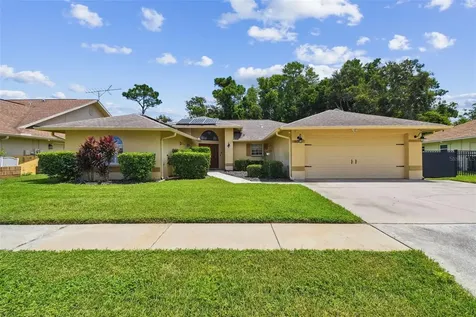 6006 Redhawk Drive New Port Richey FL 34655
