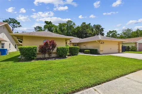 6006 Redhawk Drive New Port Richey FL 34655