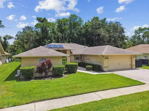 6006 Redhawk Drive New Port Richey FL 34655