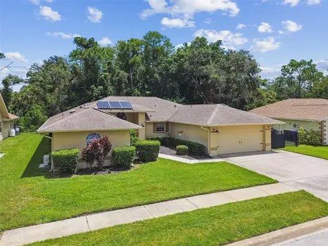 6006 Redhawk Drive New Port Richey FL 34655