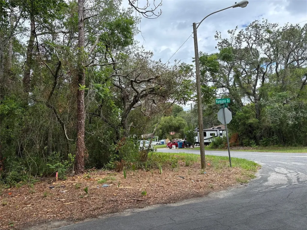 Lot W290 Navajo Trail Spring Hill FL 34606