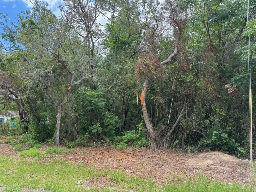 Lot W290 Navajo Trail Spring Hill FL 34606